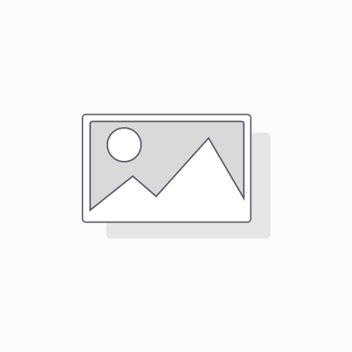 Bimetaal thermostaat 100ºC